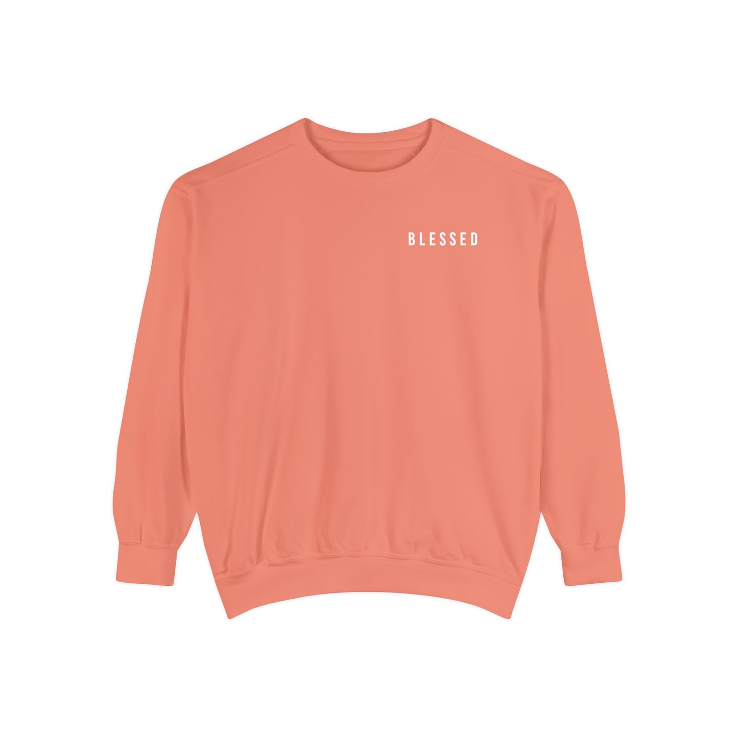 I AM BLESSED MULTI COLOR CREWNECKS