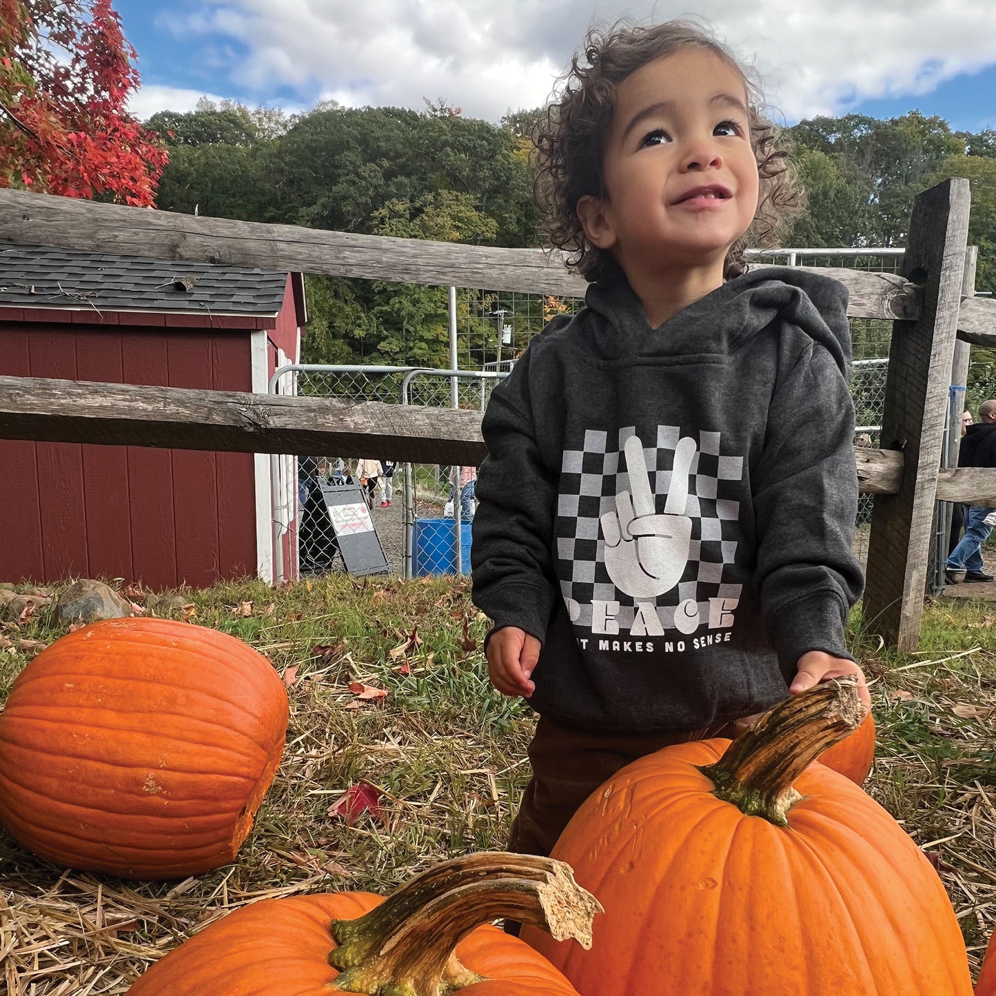 PEACE TODDLER HOODIE
